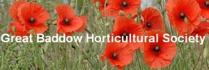 Great Baddow Horticultural Society