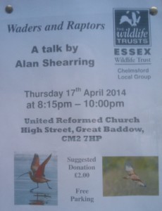 Waders and Raptors - Talk by Alan Shearring